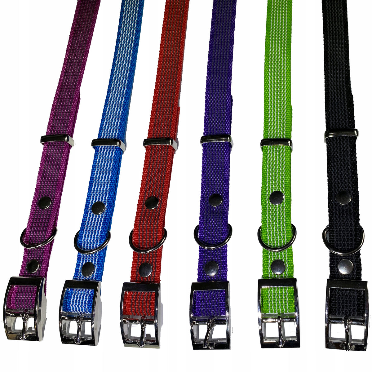 Dog Collar Rubberized Non-Slip Super Strong 20mm. Adjustable Packaging status original