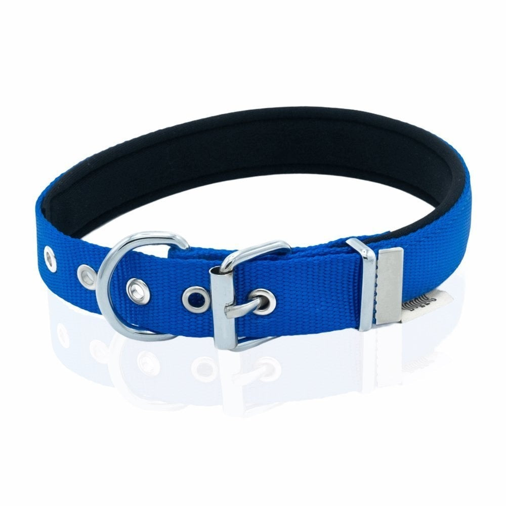 Dog Collar Soft Ankle Lining 2,5cm x 37-45cm Blue Manufacturer code DSBT2562MROYALBLUE