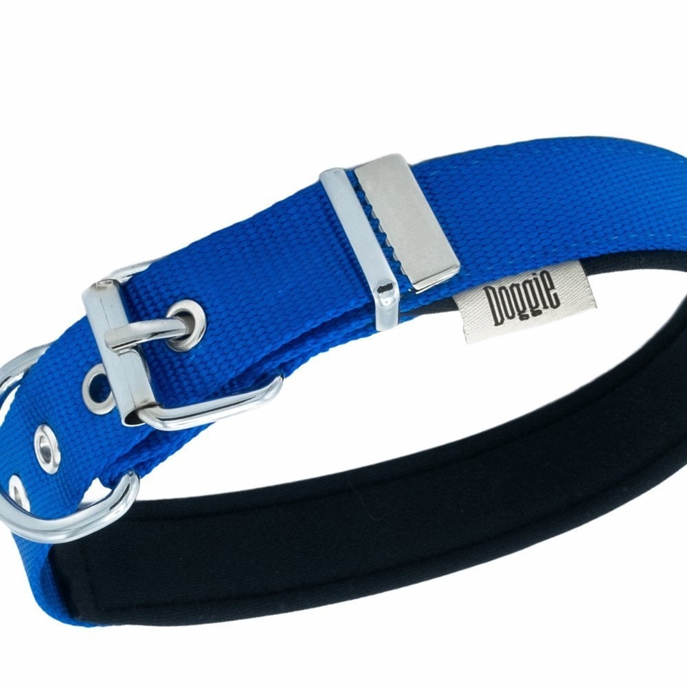 Dog Collar Soft Ankle Lining 2,5cm x 37-45cm Blue Packaging status original