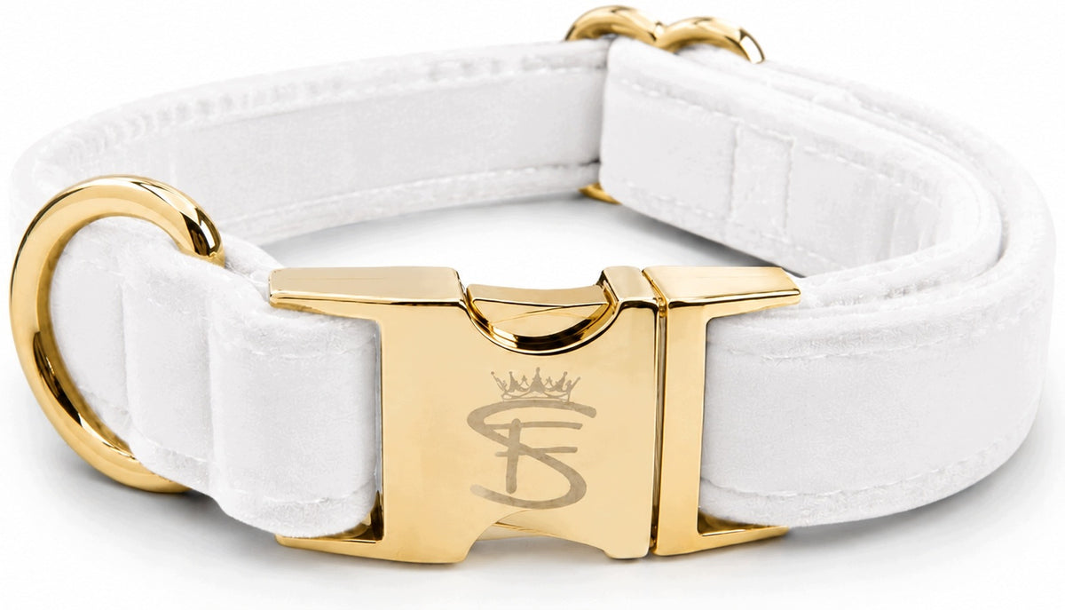 Dog Collar VELOUR White Adjustable Gold Fittings Premium Buckle XS