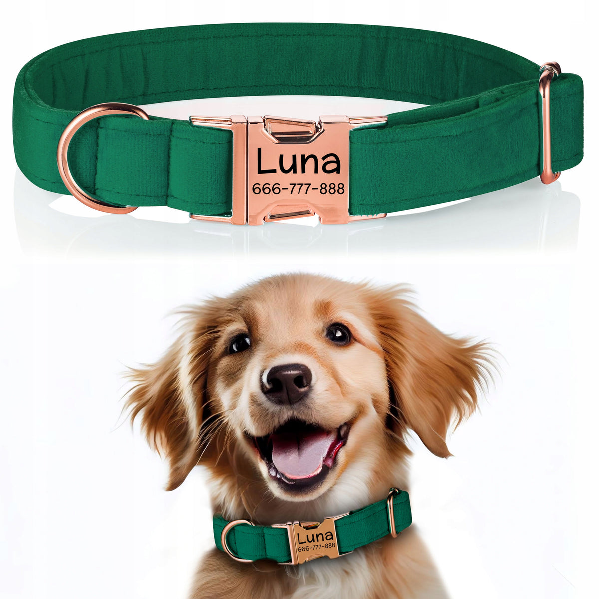 Dog Collar Velour M/L with Engraving FREEBIE G2