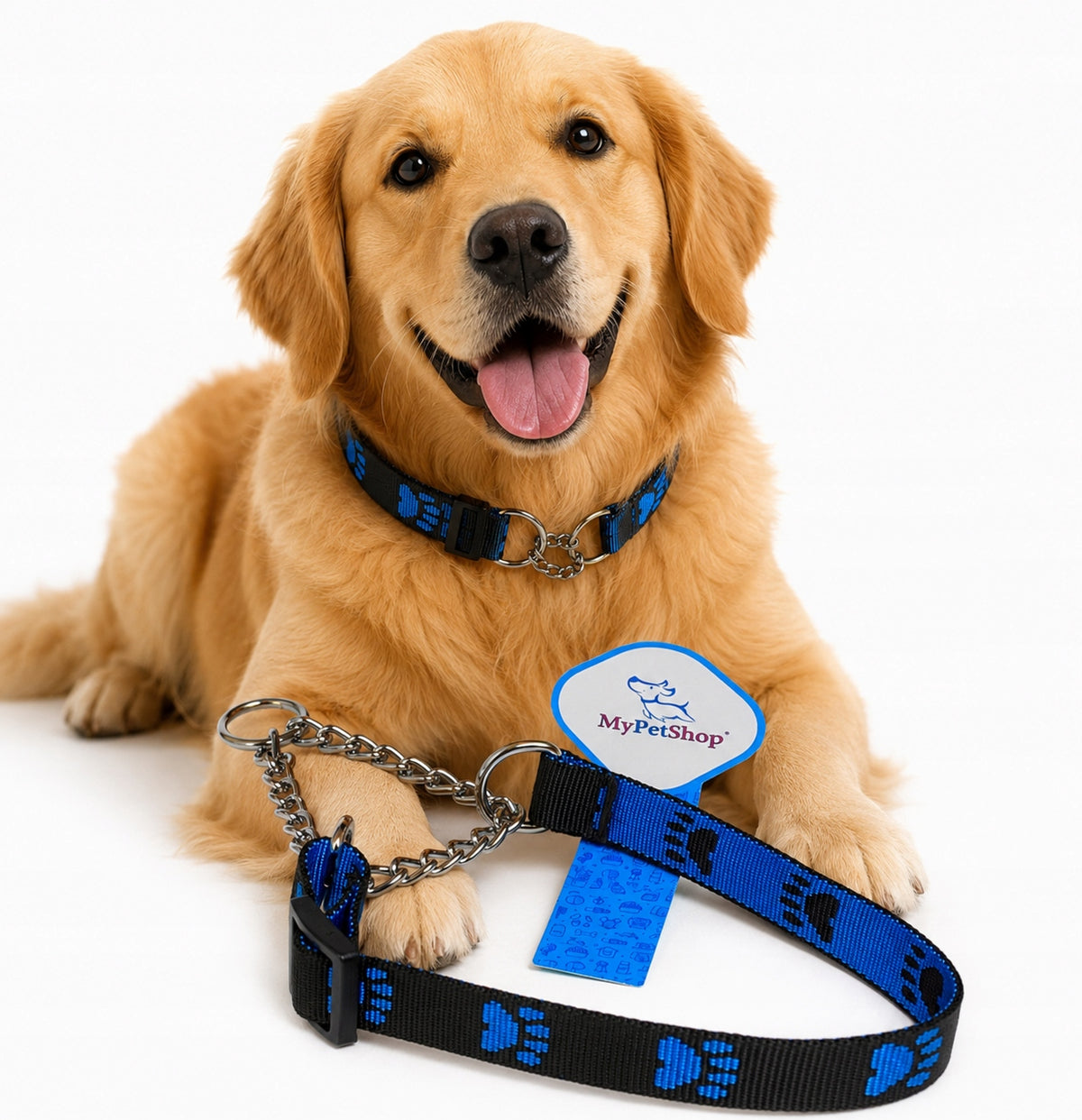 Dog Collar with Clamp Chain.Adjustable Manufacturer code 973776