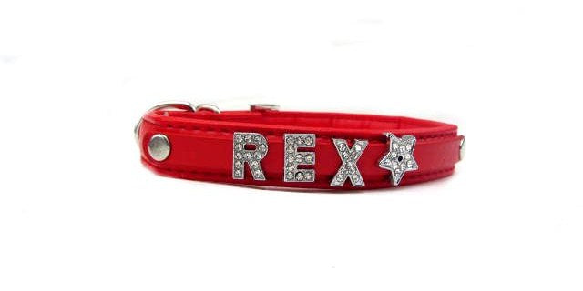 Dog Collar with Name S M,L---SUPER QUALITY