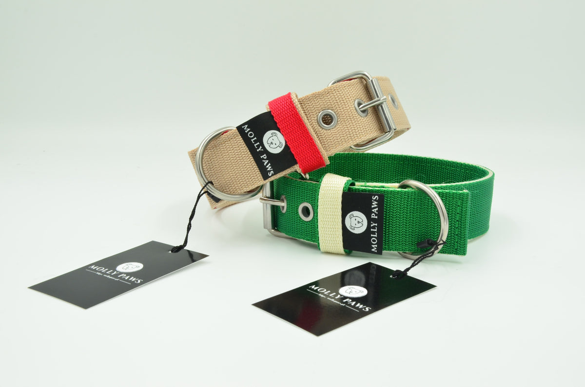 Dog Collar with Own Embroidery All sizes XXL