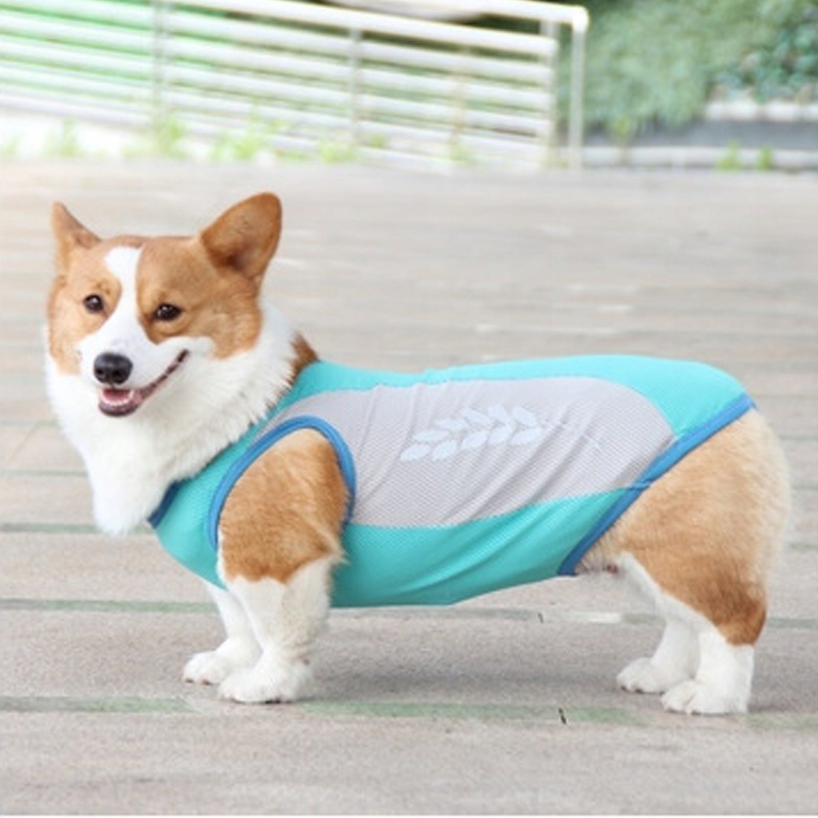 Dog Cooling Sleeveless T-Shirt Summer Breathable Mint Kind other