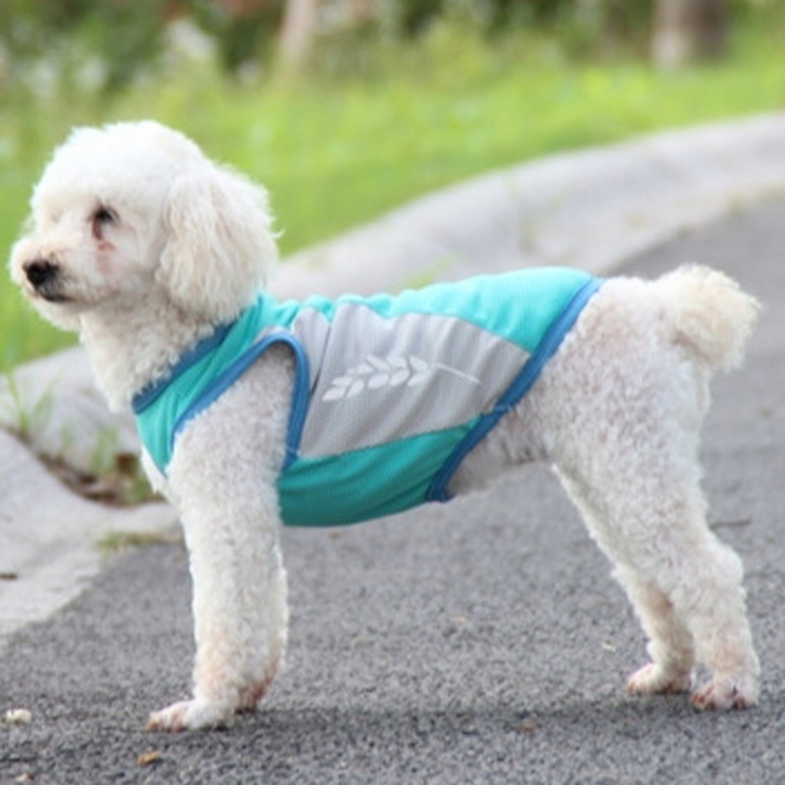 Dog Cooling Sleeveless T-Shirt Summer Breathable Mint Size XXL