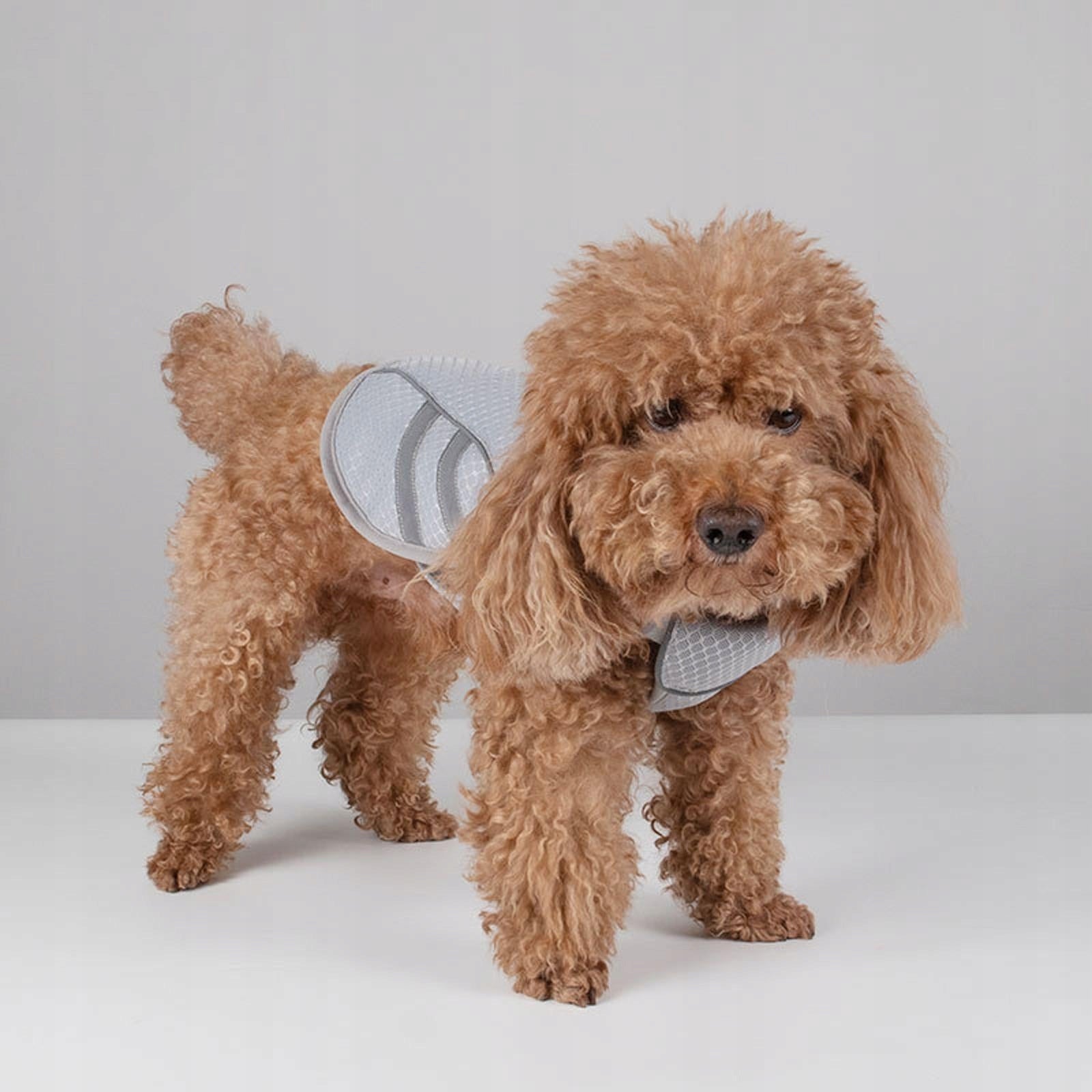 Dog Cooling Vest Comfortable for Small to Large Dogs for Camping Hot S Kind escape-proof harness