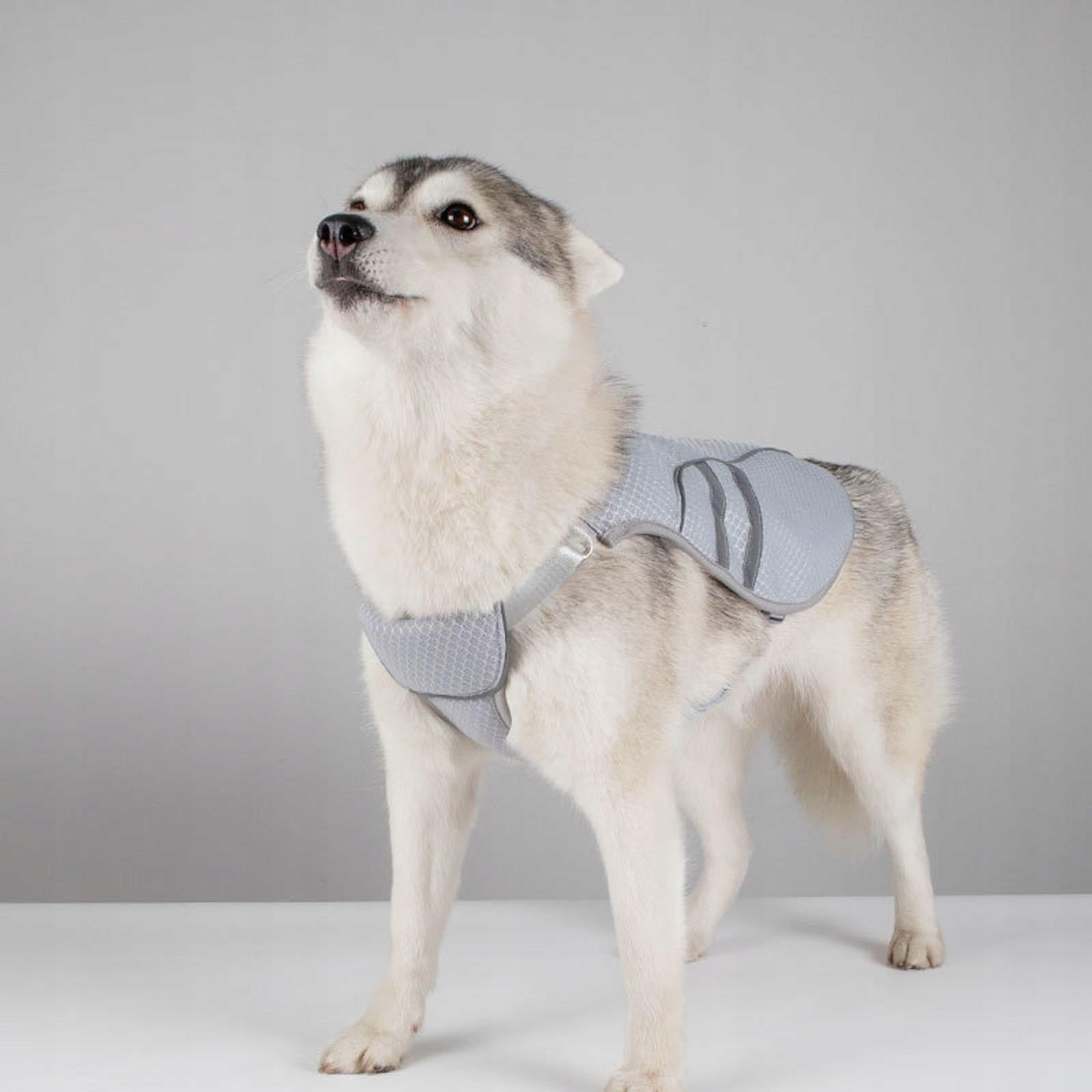 Dog Cooling Vest Comfortable for Small to Large Dogs for Camping Hot S Manufacturer code 14564044906