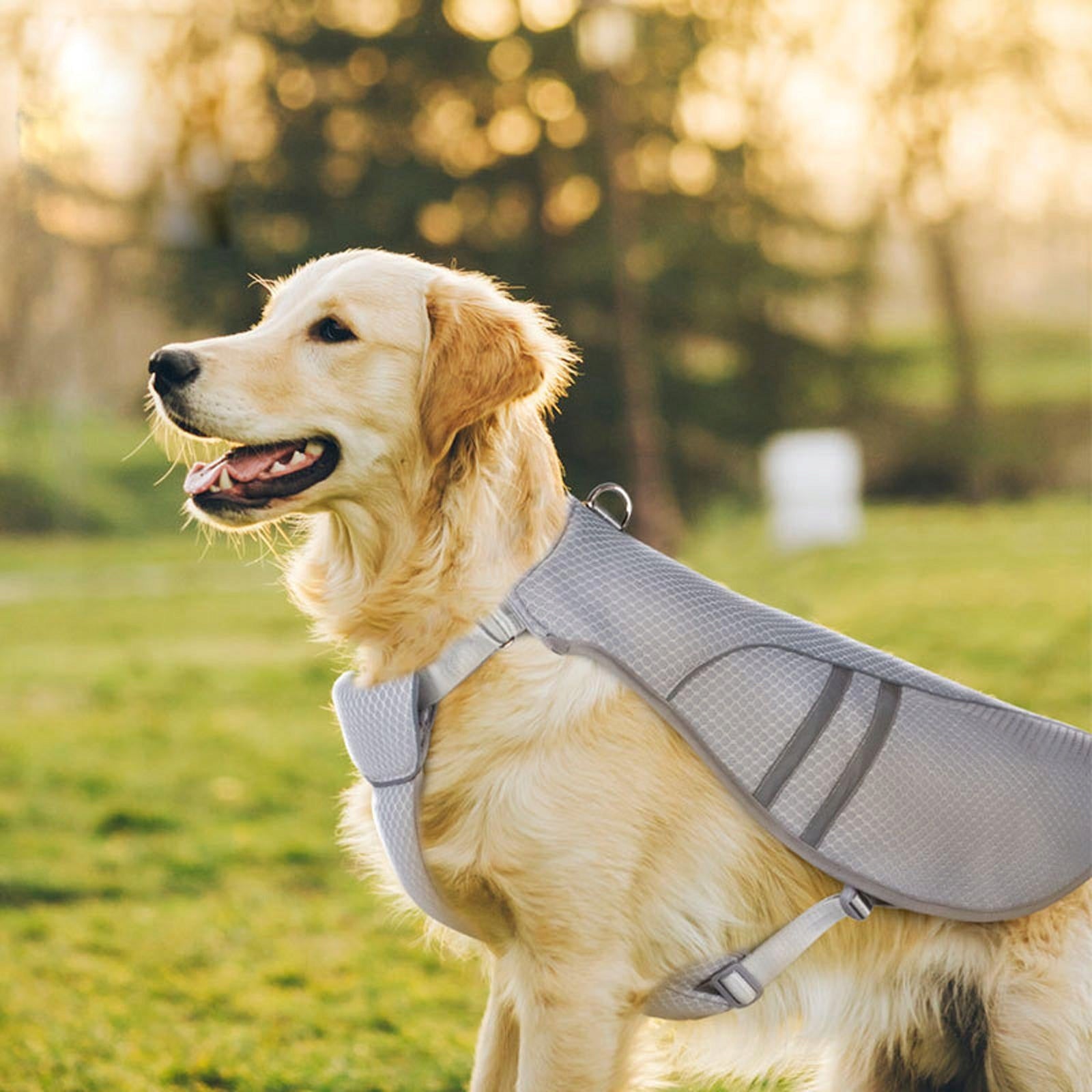 Dog Cooling Vest Comfortable for Small to Large Dogs for Camping Hot S Packaging status no packaging