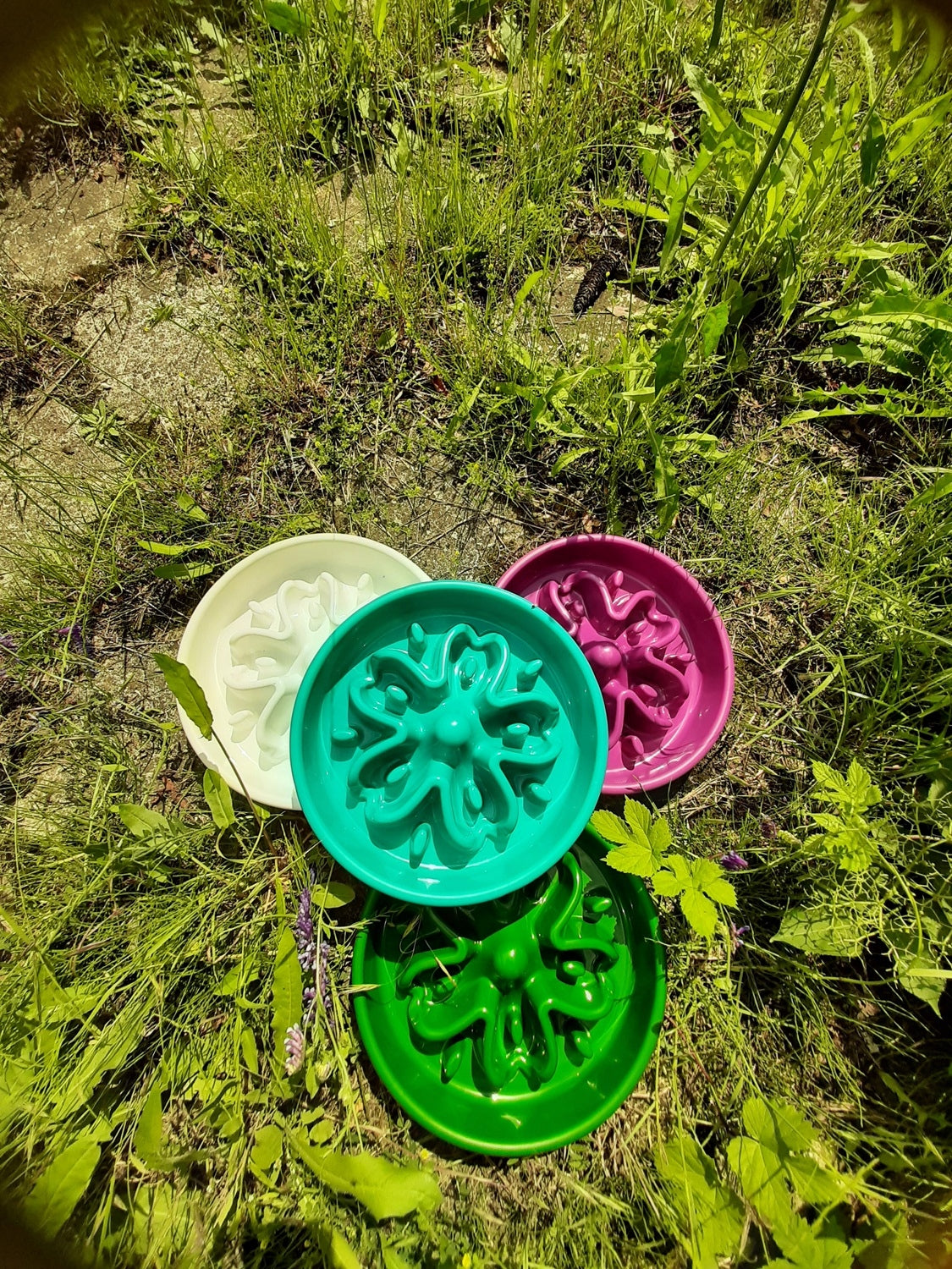 Dog Food Slow Feeder Bowl FLOWER Hard 27cm TheZoo Capacity 0 l