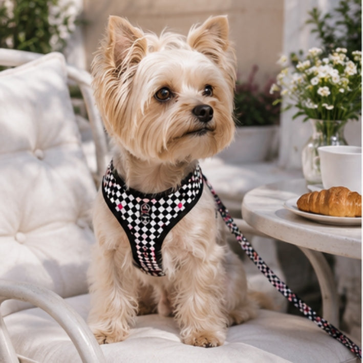 Dog HARNESS guard PRESSURE-FREE small dog comfortable MONACO M Color black