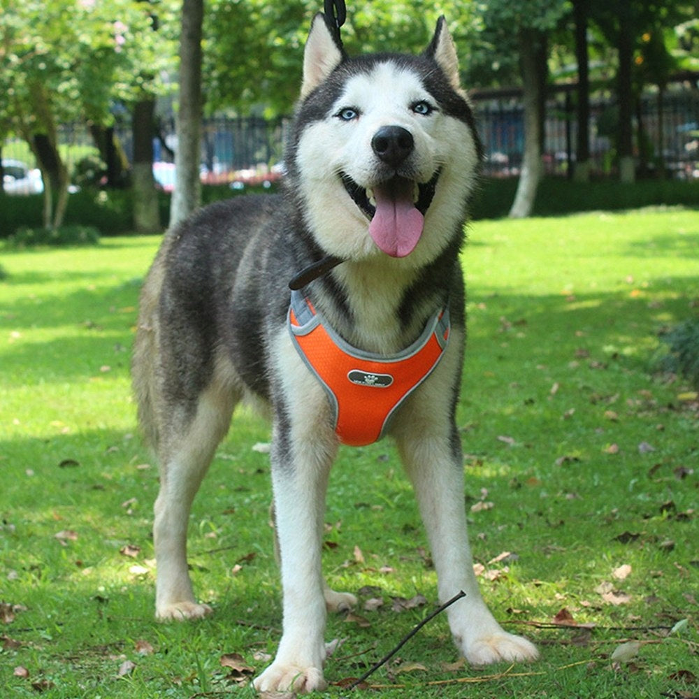 Dog Harness ASTRO orange size L Packaging status original