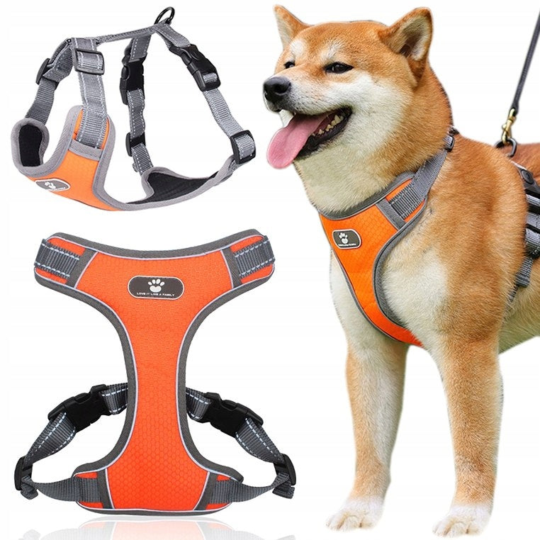 Dog Harness ASTRO orange size L