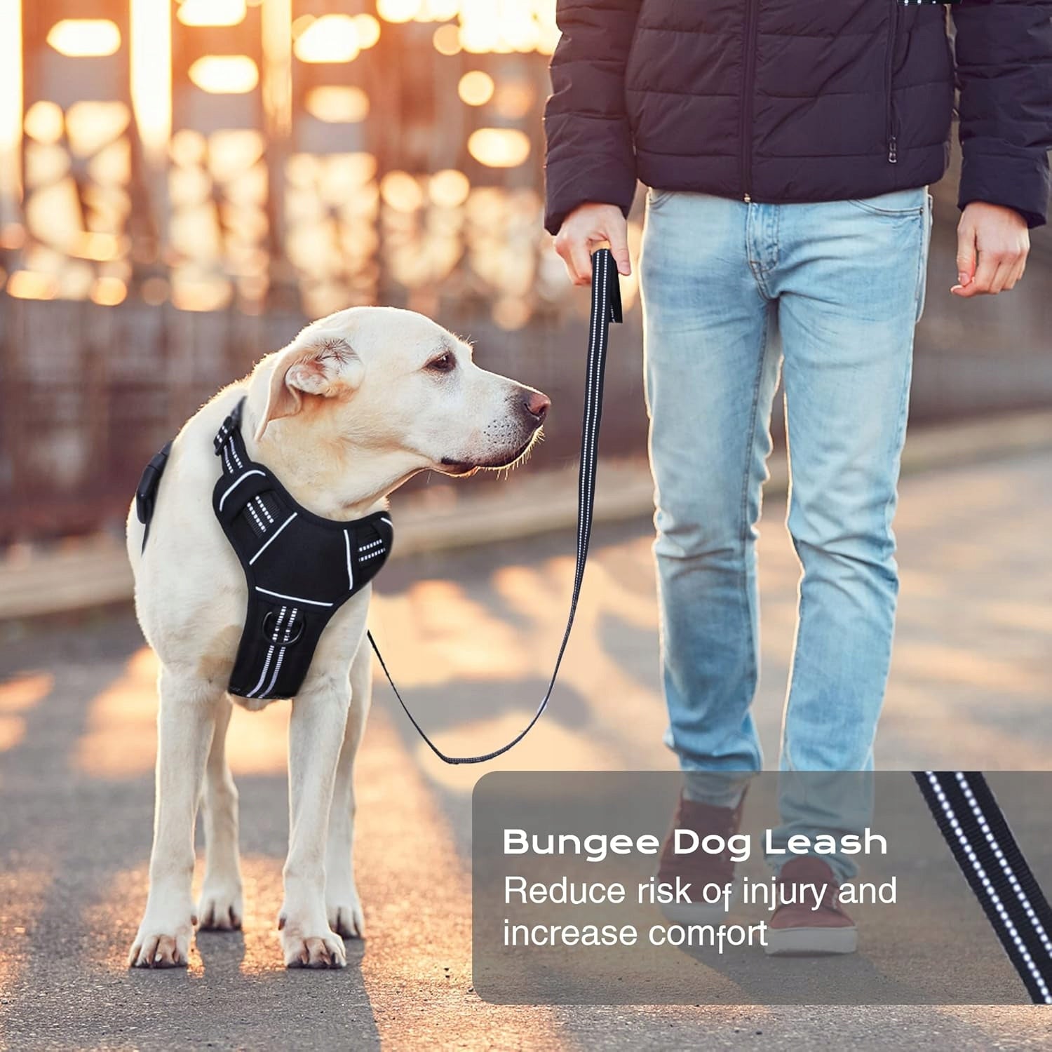 Dog Harness Adjustable Pet Vest with Dog Leash Harness Soft Handle Black Color black