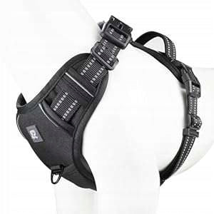 Dog Harness Adjustable Reflective Breathable XL Black