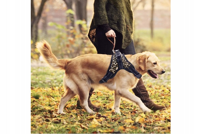 Dog Harness Adjustable Size S Black with Leopard Print Manufacturer code 5596502