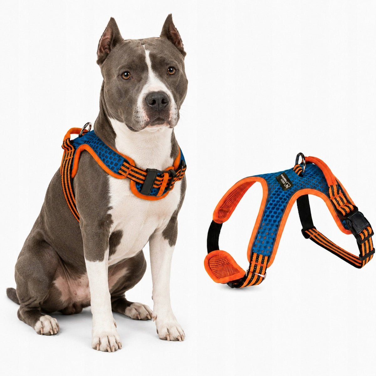 Dog Harness Adjustable Walking Durable Husky Spaniel Amstaff size M