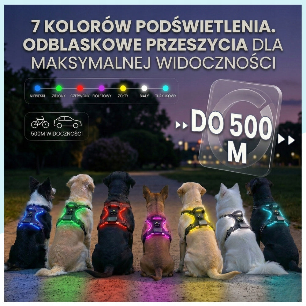 Dog Harness Backlit STRONG Durable with LED Glowing Handle Manufacturer code B0FGY3XZKT