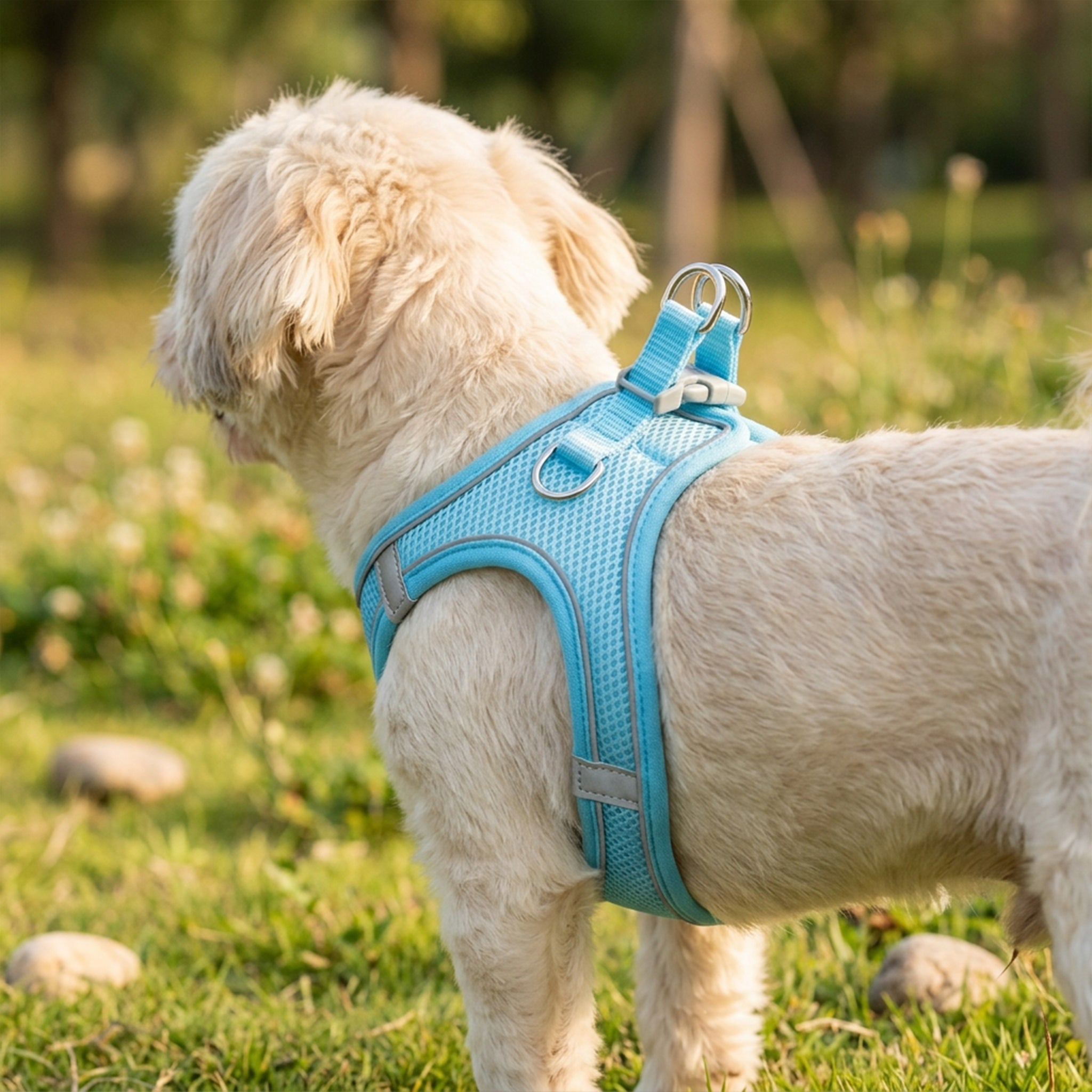 Dog Harness Blue M Pressure-Free Reflective Walking Manufacturer code Niebieskie szelki dla psa bezuciskowe