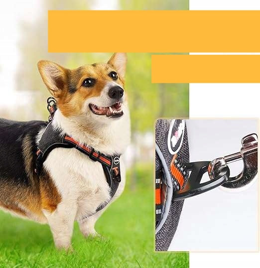 Dog Harness Breathable Reflective Adjustable Size M Orange Brand no brand