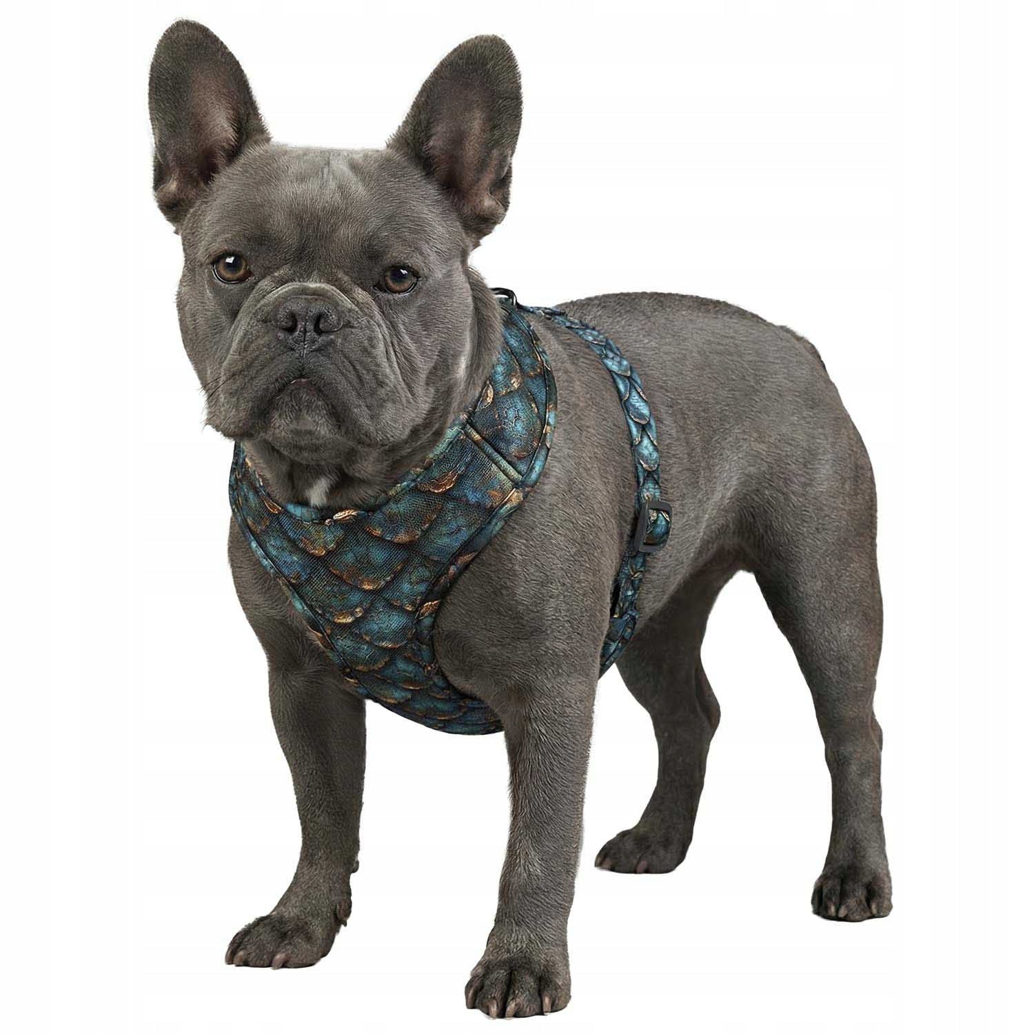 Dog Harness Breathable Soft Comfortable with QR Address, Scale, XS Manufacturer code 232-0179