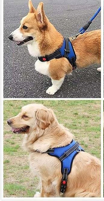 Dog Harness Comfortable Breathable for Running Walks Blue S Packaging status original