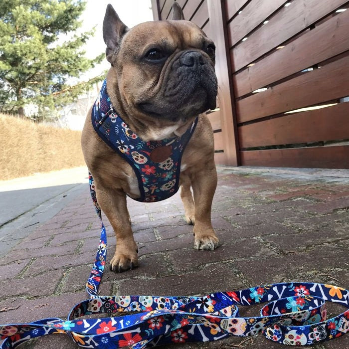 Dog Harness Día de los Muertos without compression L Packaging status original