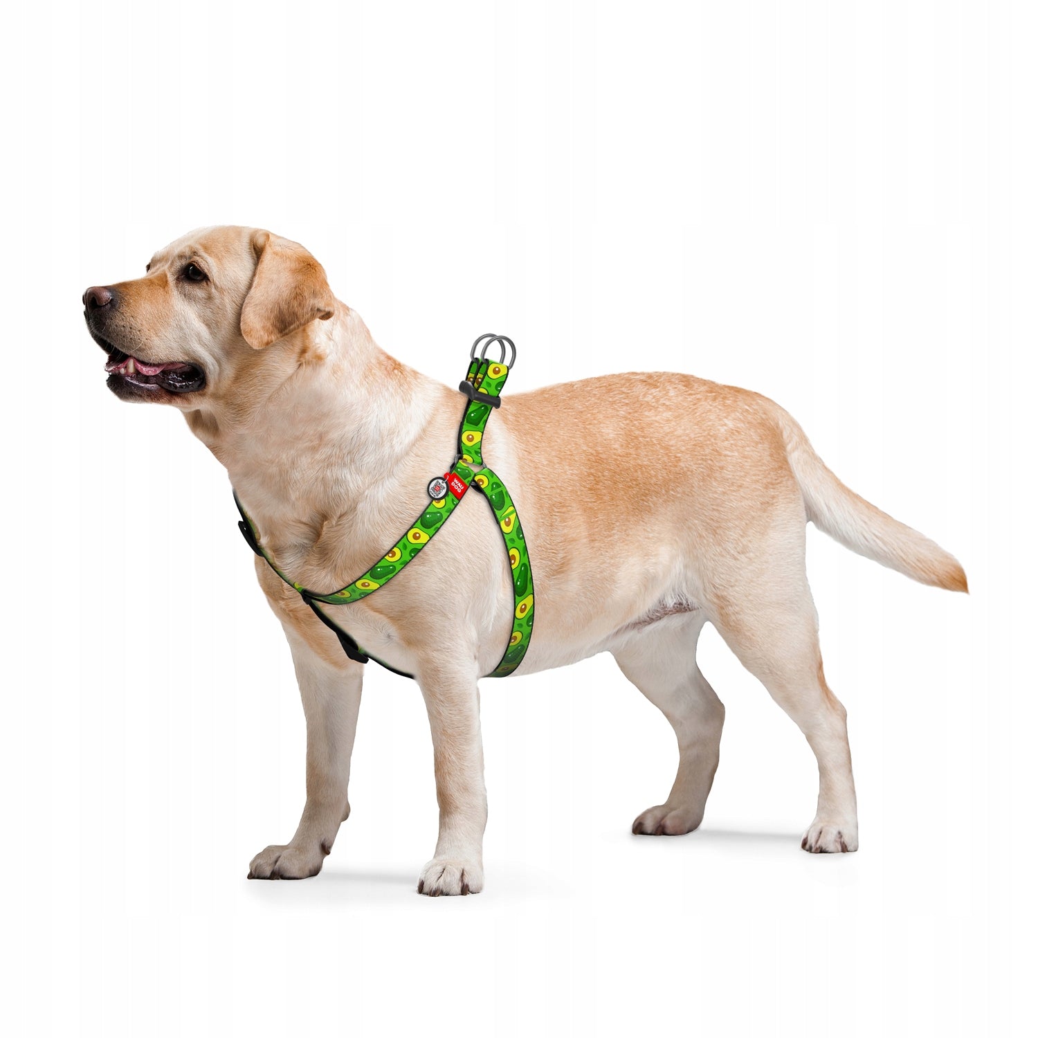 Dog Harness, Drawing Avocado, 40-55 cm 15 mm Kind walking harness