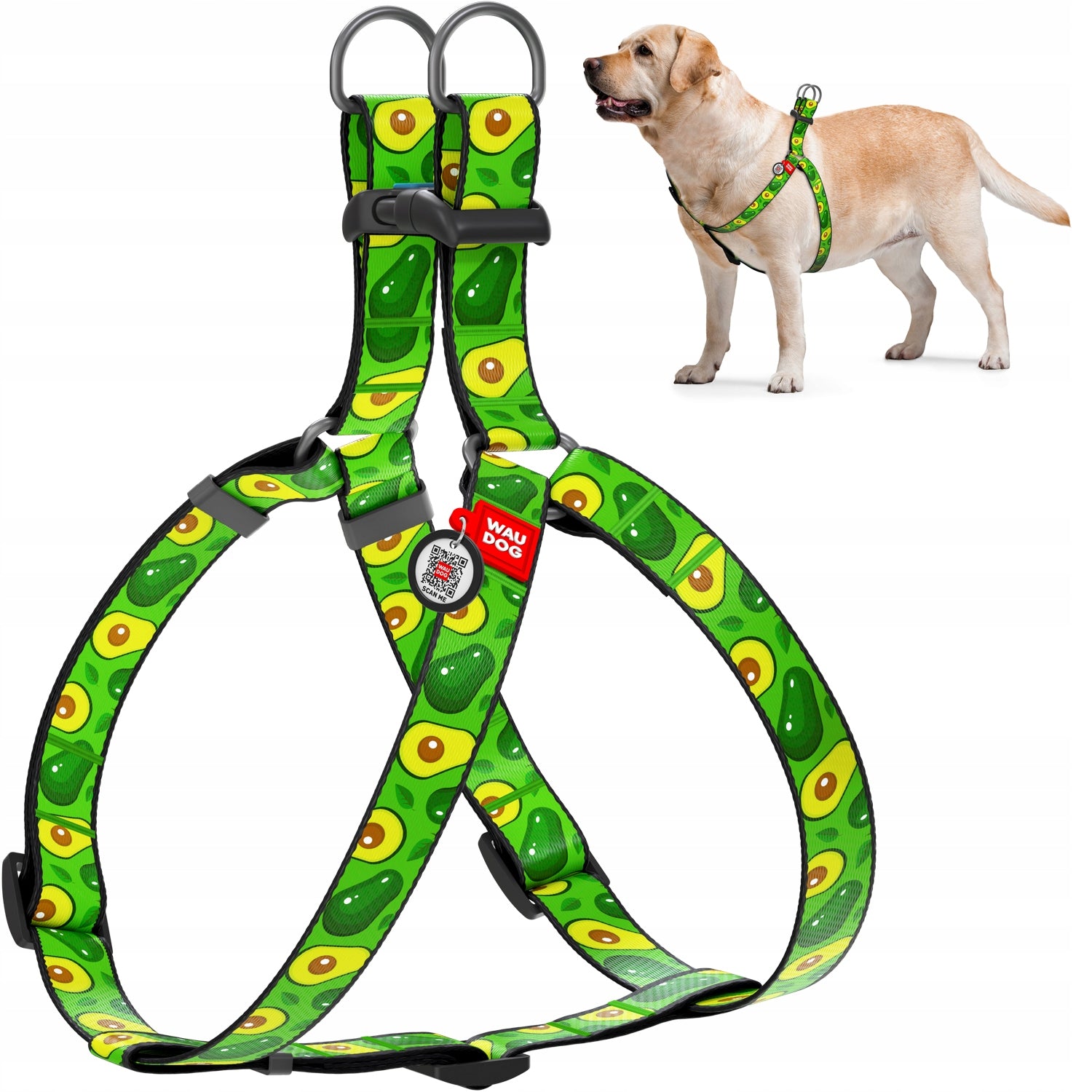 Dog Harness, Drawing Avocado, 40-55 cm 15 mm