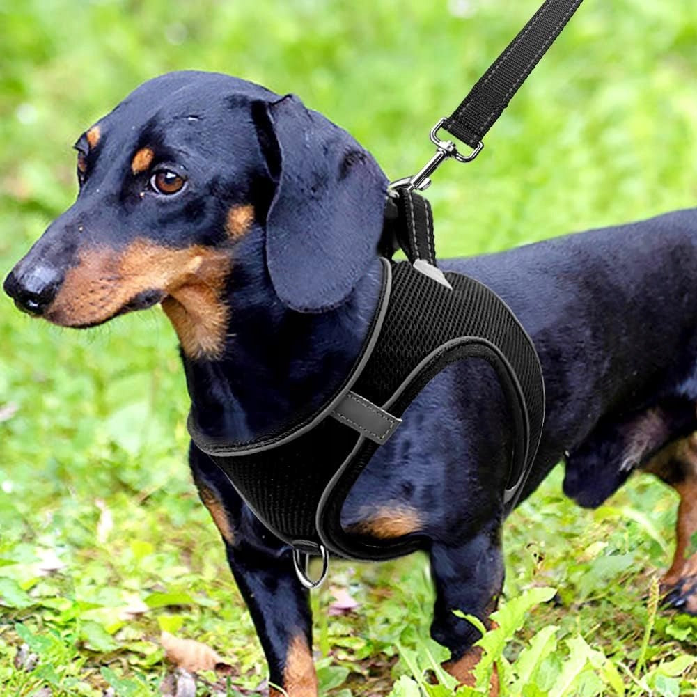 Dog Harness For Small,Reflective Safe Mesh Breathable Manufacturer code Szelki dla Małych Psów Odblaski Oddychające