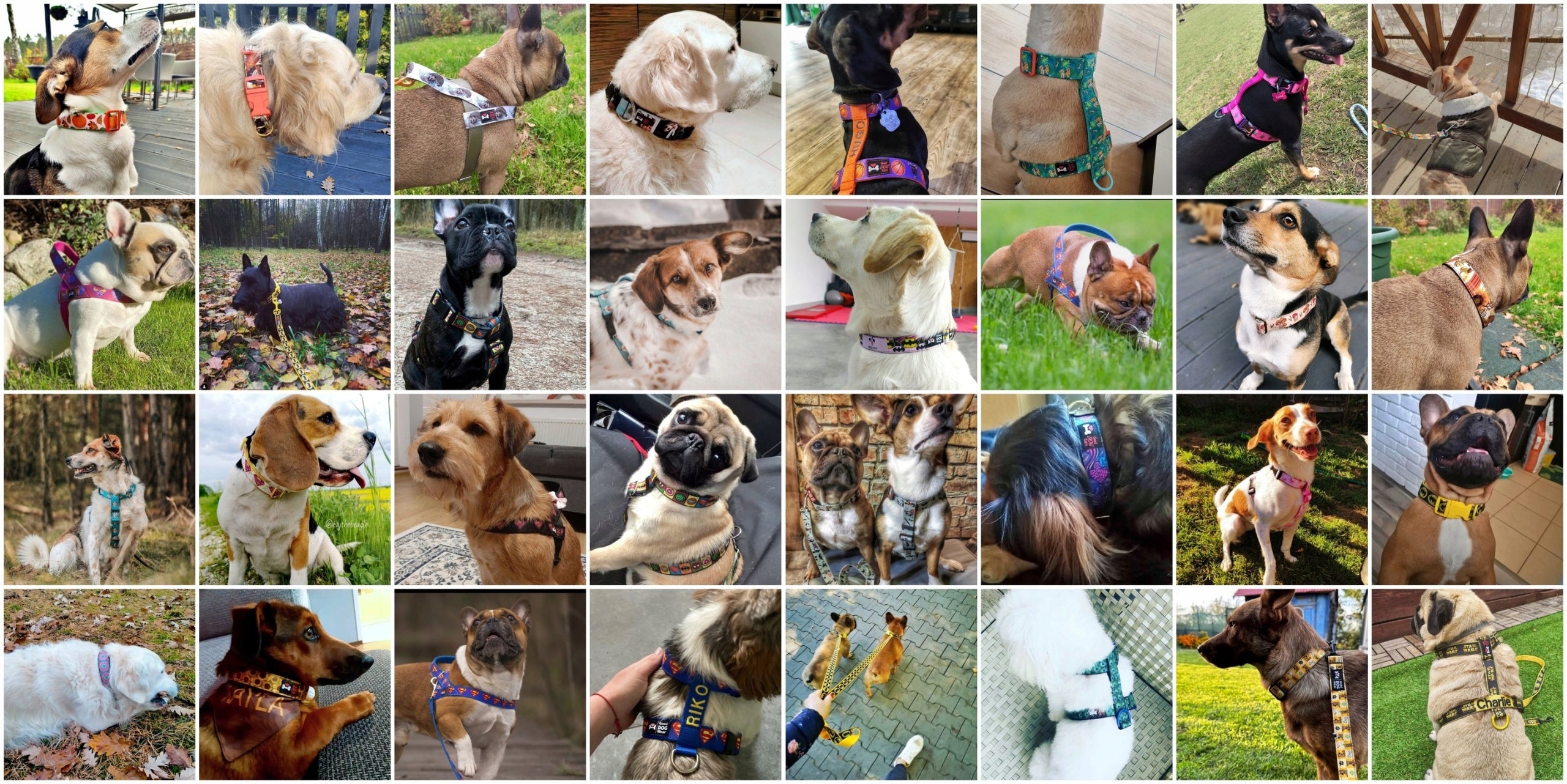 Dog Harness GUARD LOTS OF DESIGNS HIT size L Good Dog Wear handmade Brand Good Dog Wear