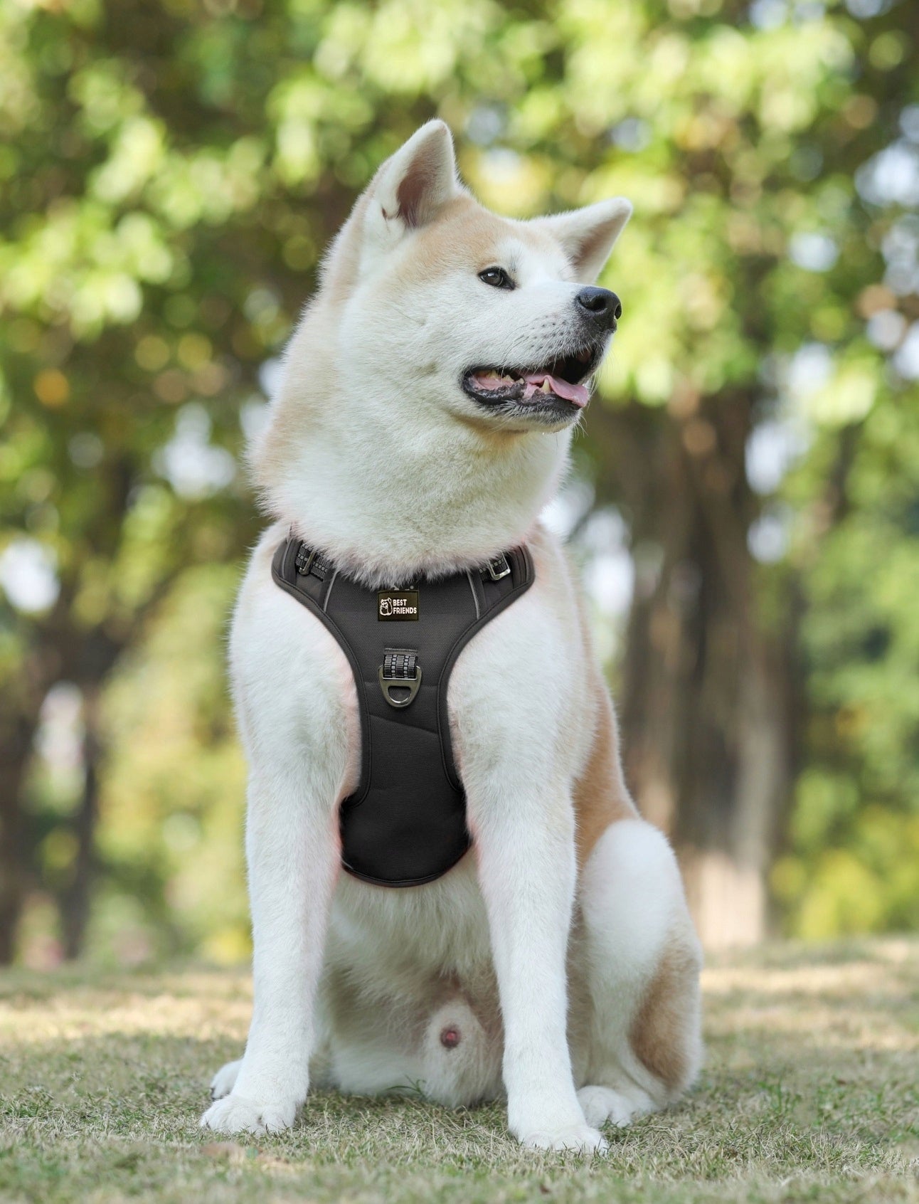 Dog Harness GUARD, SHEPHERD, LABRADOR, BLACK DURABLE size XL Color black
