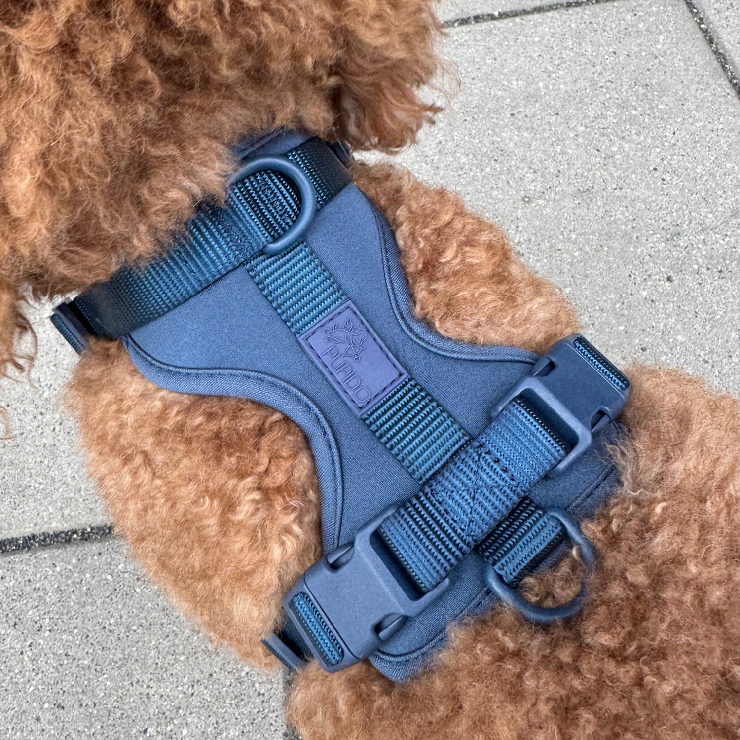 Dog Harness Guard Pressure-Free Walking Adjustable Blue Pupido L Size L