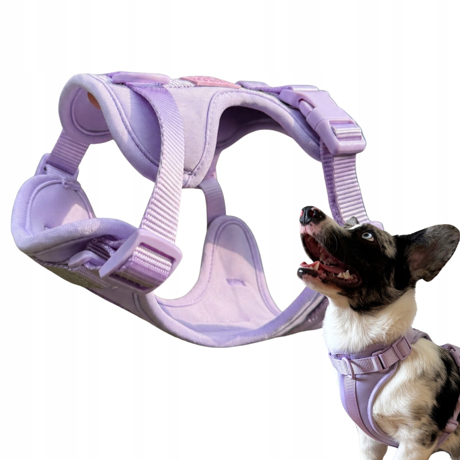 Dog Harness Guard Pressure-Free Walking Adjustable Lavender Pupido XS