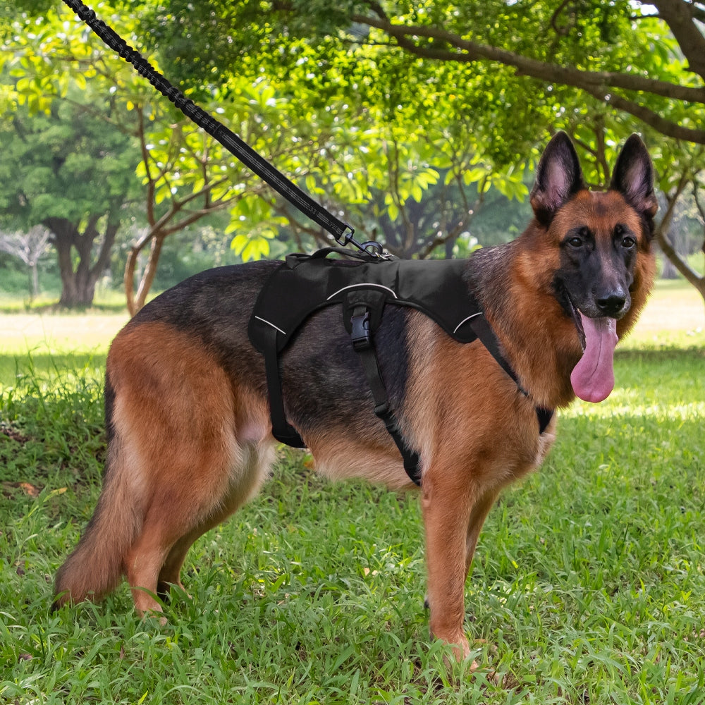 Dog Harness Guard Red Tactical Strong HUGGY DOGGY S Size S