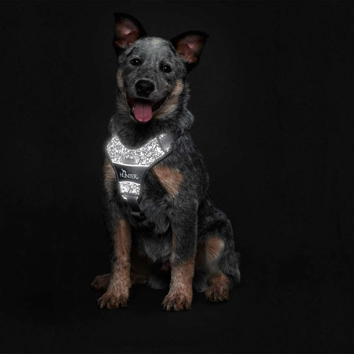 Dog Harness, HUNTER DIVO, L ,Black, Guard, Pressure-Free, Reflector Packaging status original