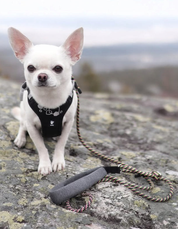 Dog Harness HURTTA Raven size:40-50 - pressure-free, durable, reflective Brand Hurtta