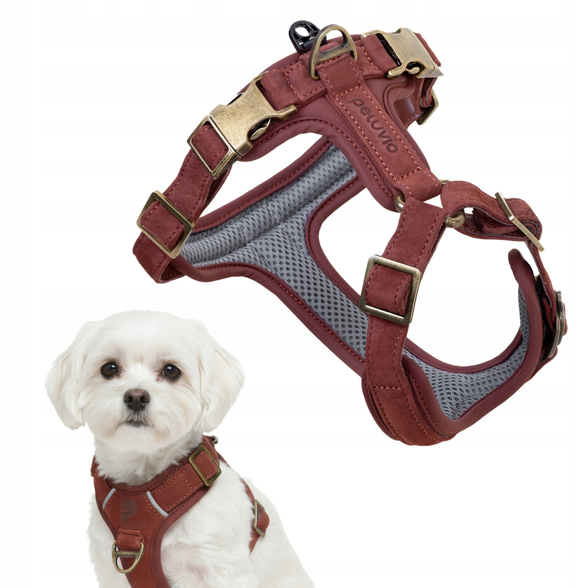 Dog Harness LEATHER GENUINE LEATHER TYPE GUARD PRESSURE-FREE PREMIUM XS