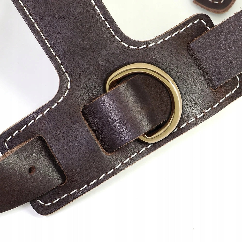 Dog Harness Leather For Large Dogs Harness Doberman Cane Corso Pitbull Packaging status original