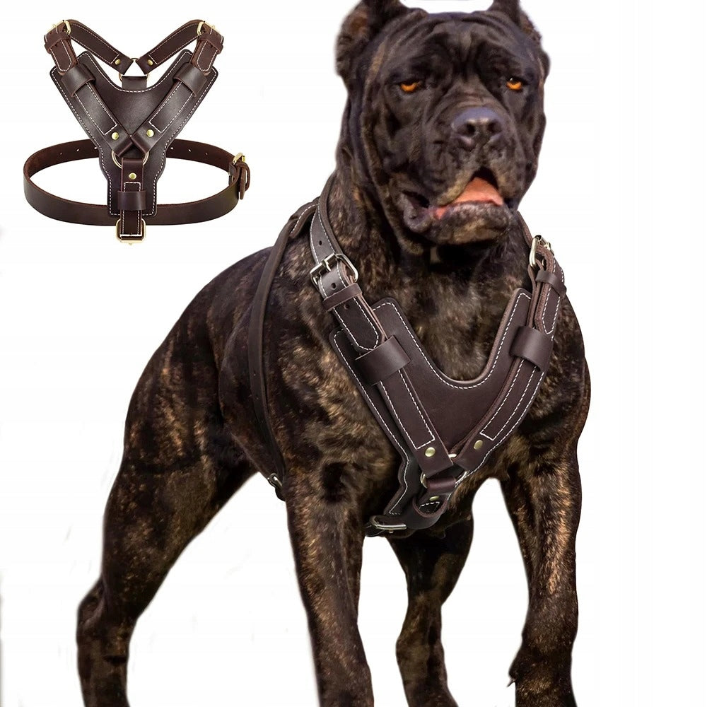 Dog Harness Leather For Large Dogs Harness Doberman Cane Corso