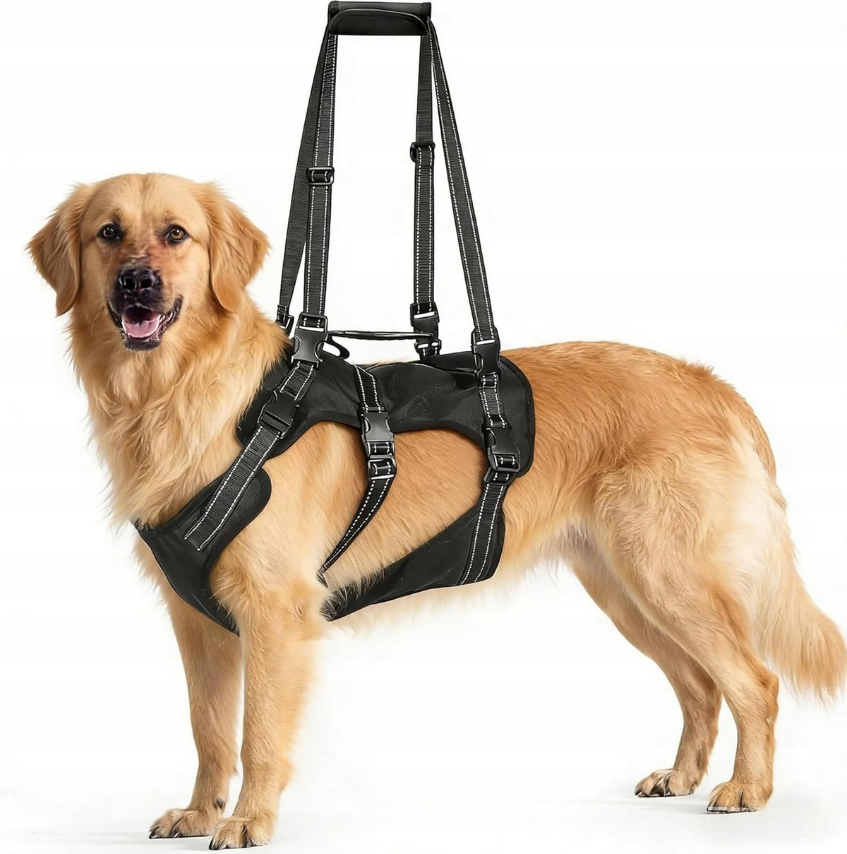 Dog Harness M Black Adjustable Reflector Holder