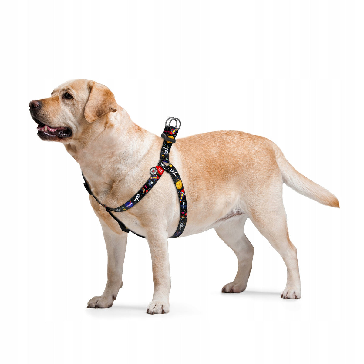 Dog Harness, NASA Drawing, 50-80 cm 20 mm Packaging status original