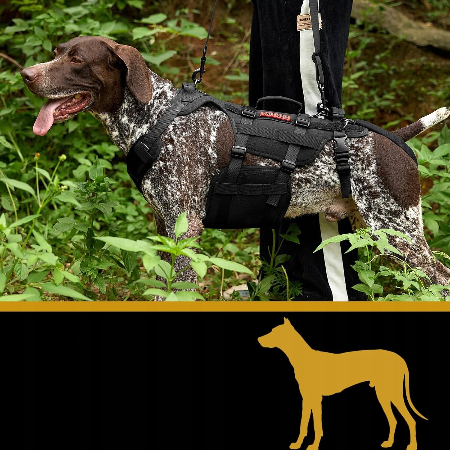 Dog Harness Rehabilitation Harness For Lifting With Handles Vest Color black