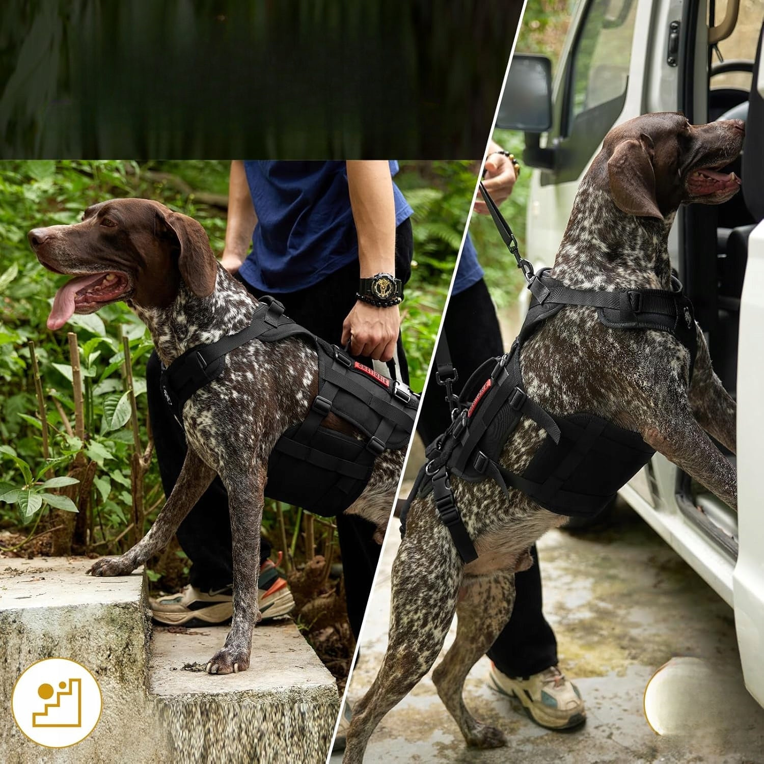 Dog Harness Rehabilitation Harness For Lifting With Handles Vest Kind escape-proof harness
