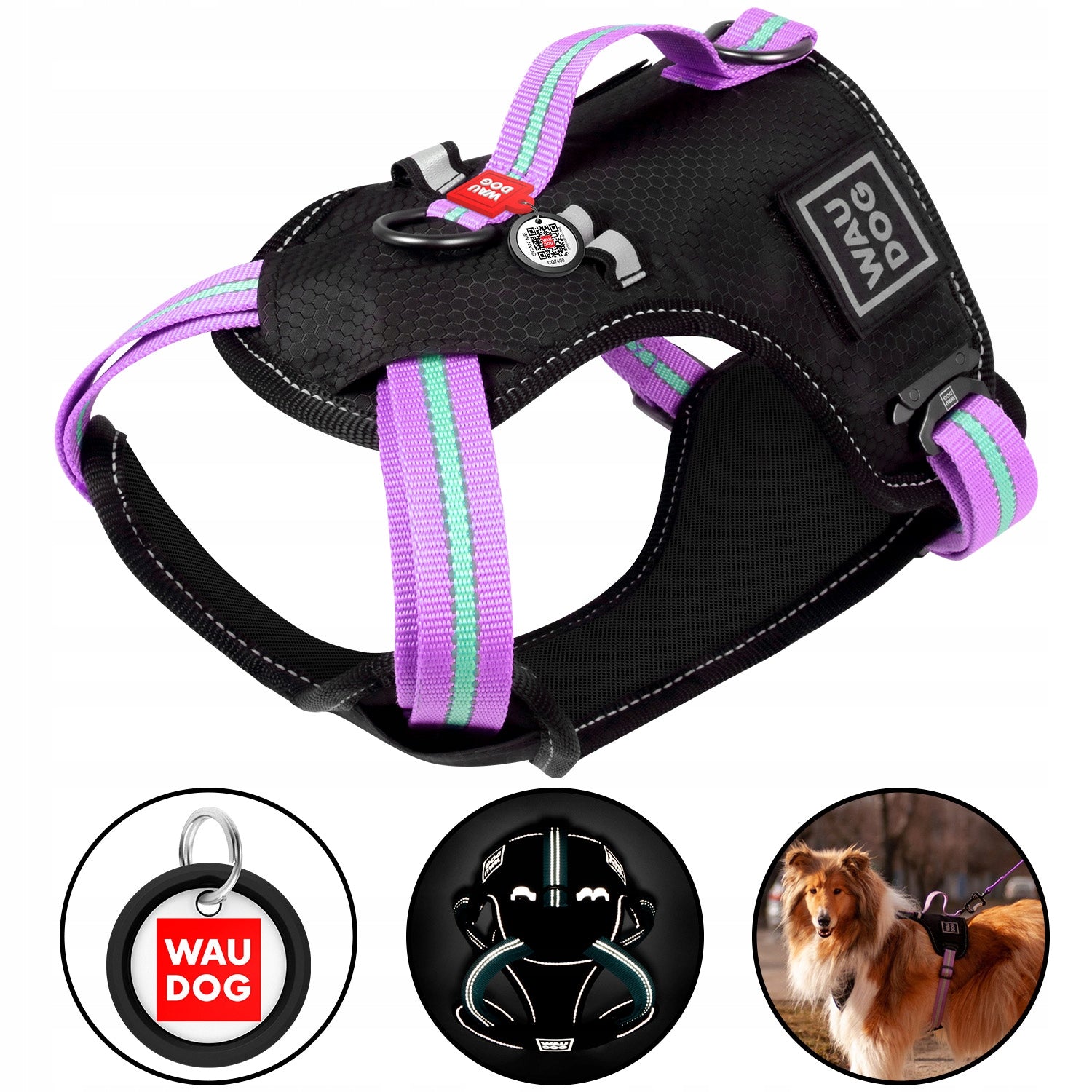 Dog Harness Safe + QR ADDRESS FREEBIE, Purple, Size S