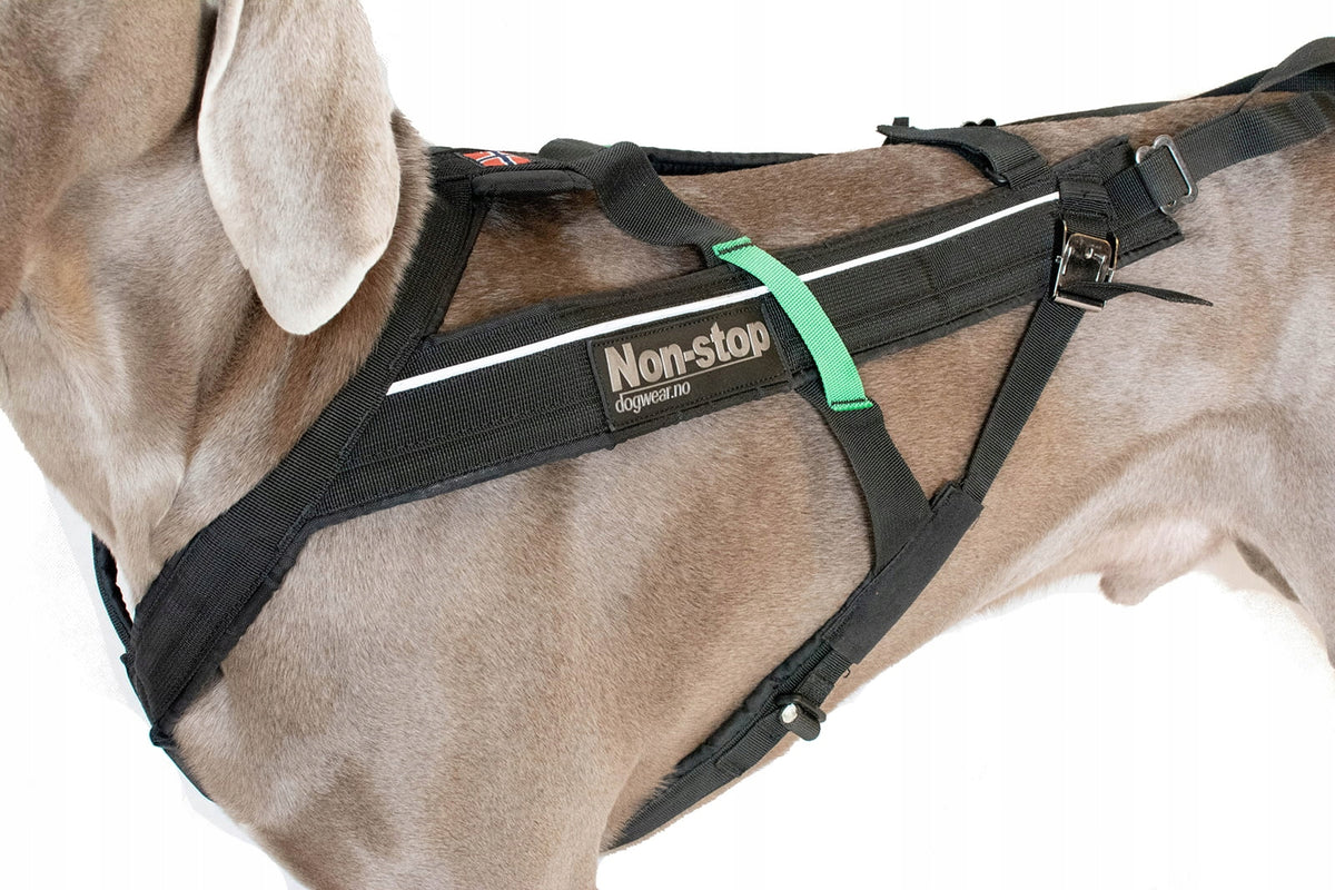 Dog Harness Sled Non-Stop FreeMotion Roz. 6 for Cycling Brand Non-Stop Dogwear