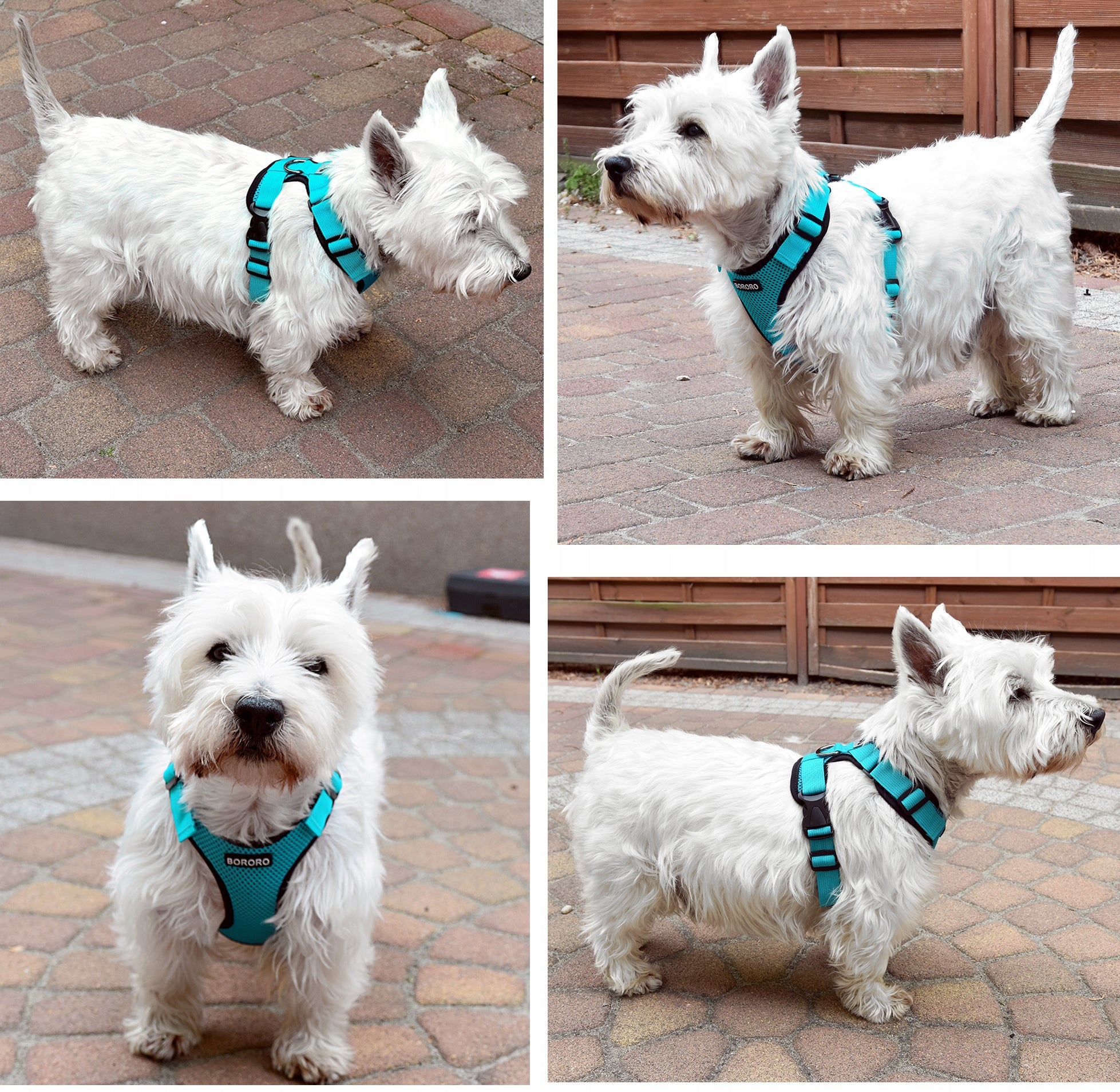 Dog Harness Strong Pressure-Free Reflective Breathable Boro1/XL Type adjustable