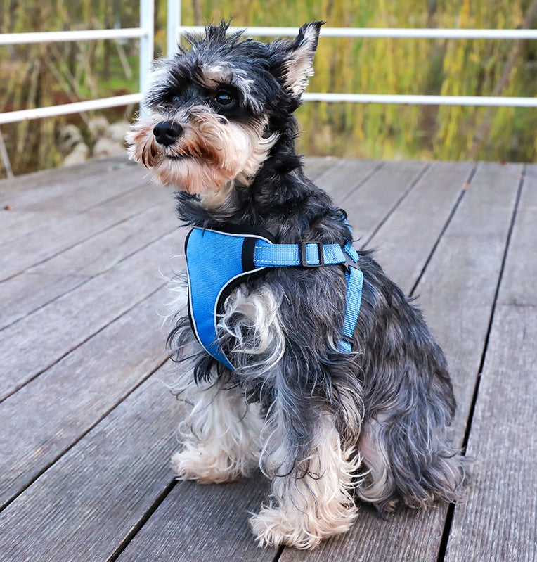 Dog Harness Strong Pressure-Free Reflective UPs7/M Manufacturer code UPs7/M