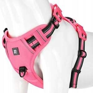 Dog Harness Walking Reflective Non-Slip Durable Pink S