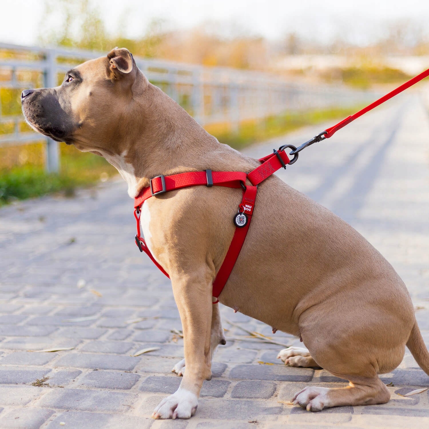 Dog Harness Waterproof + QR Address Card FREEBIE, Red, Size XS Packaging status original